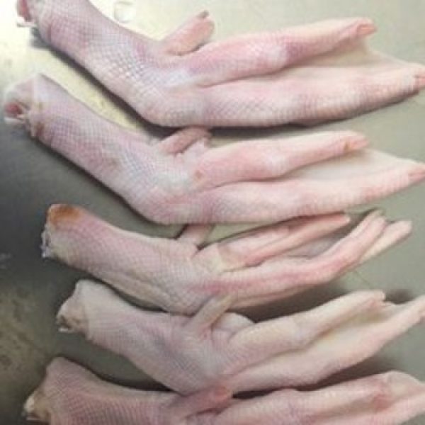 How To Buy Halal Frozen Duck Paws Online In China Japan