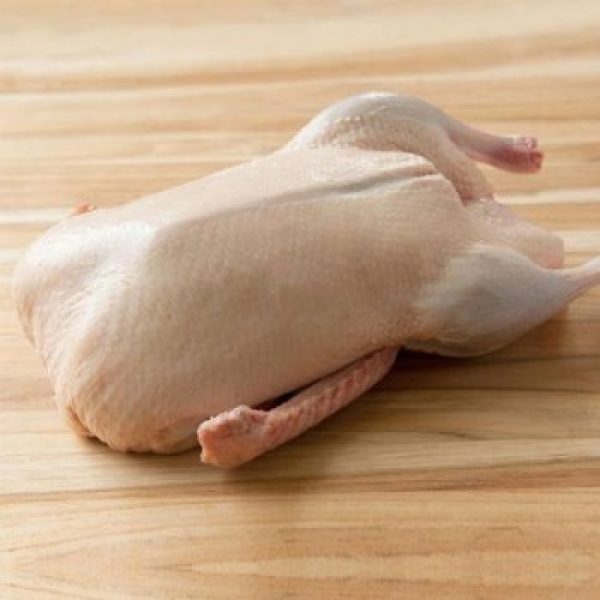Buy Wholesale Halal Frozen Whole Duck Feet Online